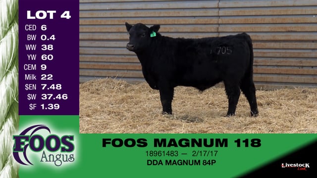 Lot #4 - FOOS MAGNUM 118