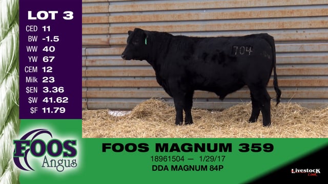 Lot #3 - FOOS MAGNUM 359