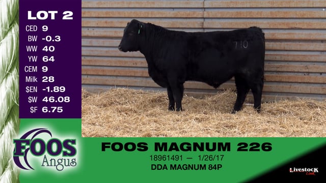 Lot #2 - FOOS MAGNUM 226