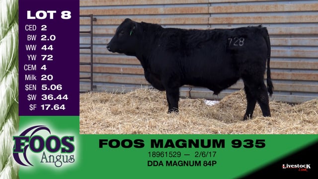 Lot #8 - FOOS MAGNUM 935