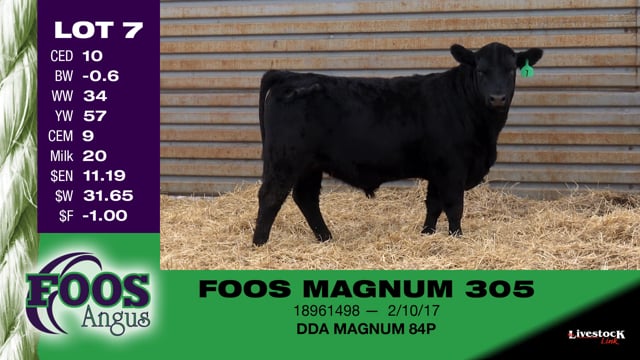 Lot #7 - FOOS MAGNUM 305