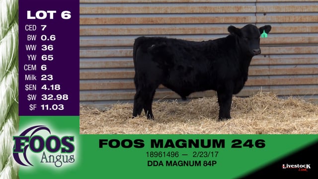 Lot #6 - FOOS MAGNUM 246