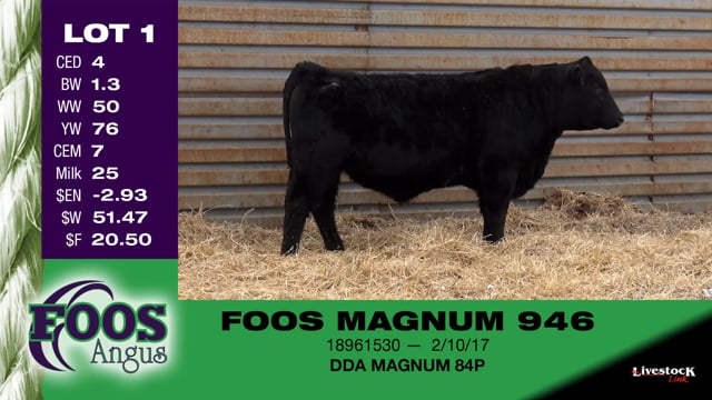 Lot #1 - FOOS MAGNUM 946