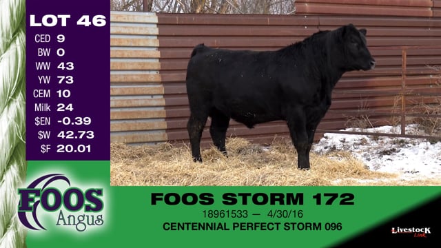 Lot #46 - FOOS STORM 172