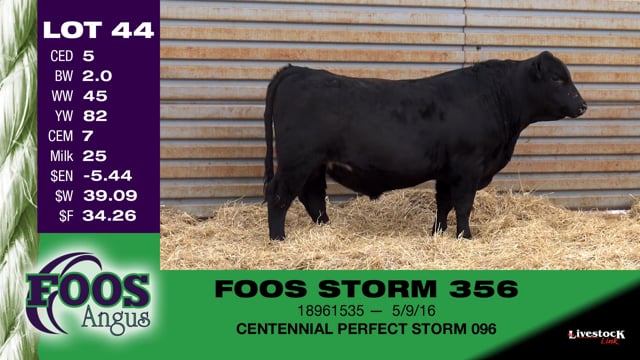 Lot #44 - FOOS STORM 356