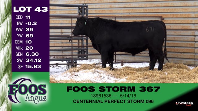 Lot #43 - FOOS STORM 367