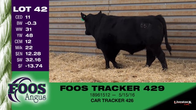 Lot #42 - FOOS TRACKER 429