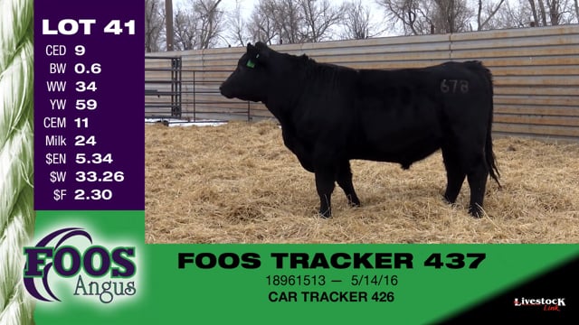 Lot #41 - FOOS TRACKER 437