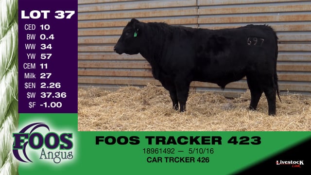 Lot #37 - FOOS TRACKER 423