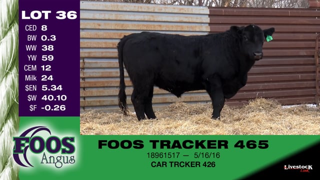 Lot #36 - FOOS TRACKER 465