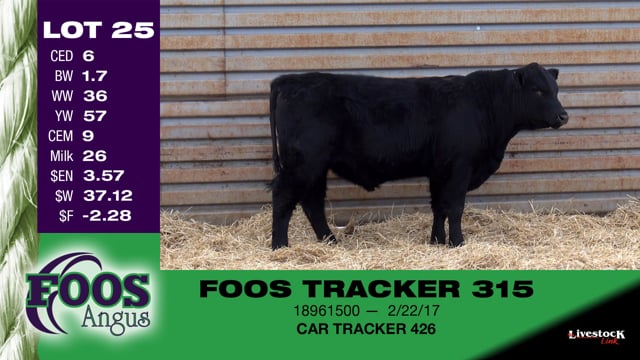 Lot #25 - FOOS TRACKER 315