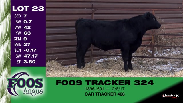 Lot #23 - FOOS TRACKER 324