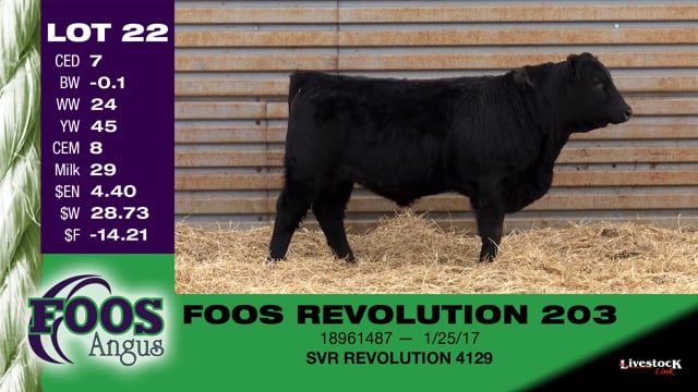 Lot #22 - FOOS REVOLUTION 203