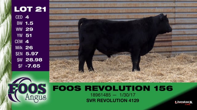 Lot #21 - FOOS REVOLUTION 156