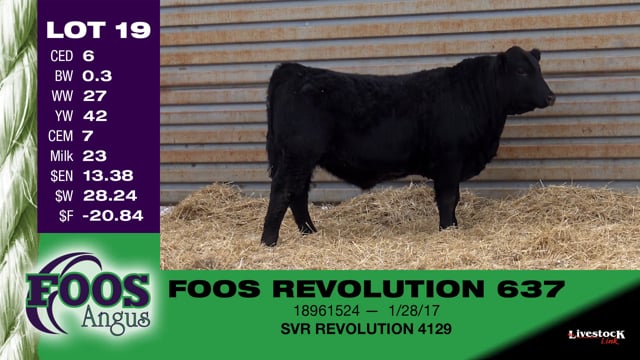 Lot #19 - FOOS REVOLUTION 637