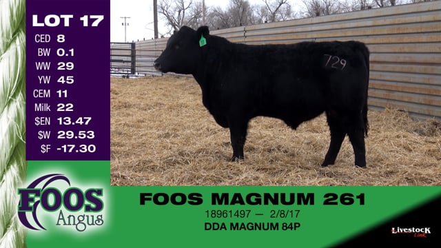 Lot #17 - FOOS MAGNUM 261