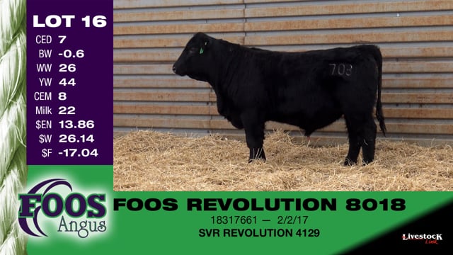 Lot #16 - FOOS MAGNUM 8018