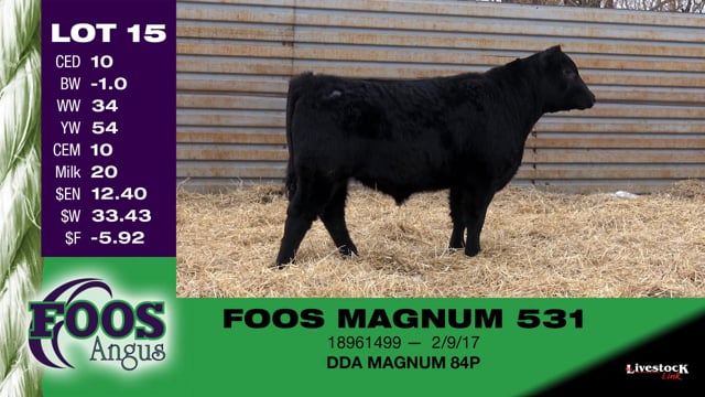 Lot #15 - FOOS MAGNUM 531