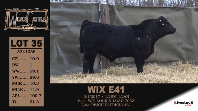 Lot #35 - WIX E41