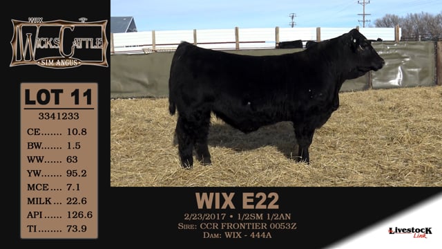 Lot #11 - WIX E22