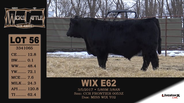 Lot #56 - WIX E62