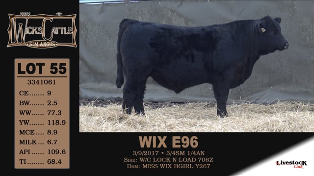Lot #55 - WIX E96