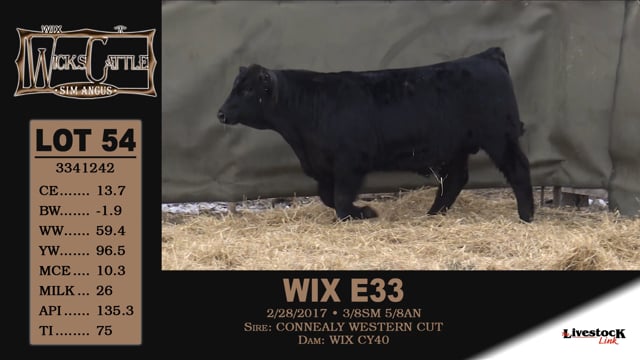 Lot #54 - WIX E33