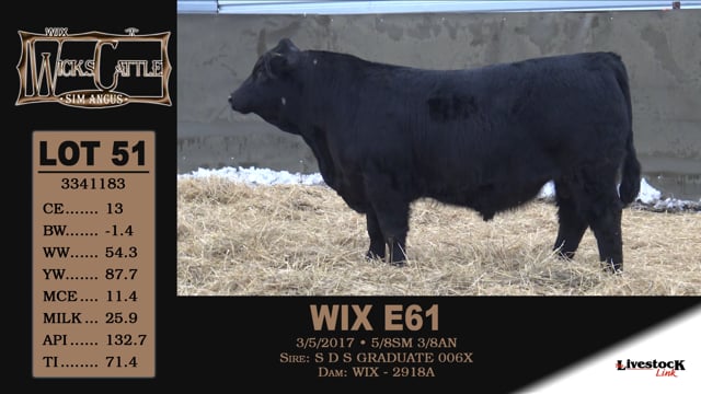 Lot #51 - WIX E61
