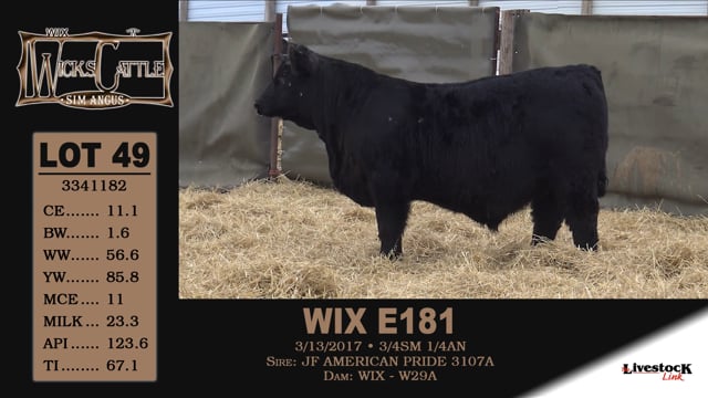 Lot #49 - WIX E181
