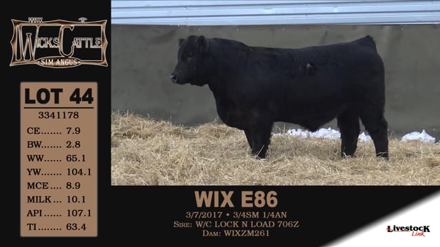 Lot #44 - WIX E86