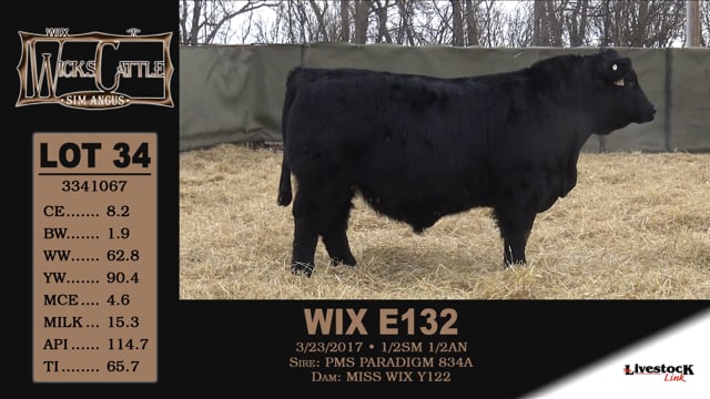 Lot #34 - WIX E132