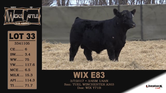 Lot #33 - WIX E83