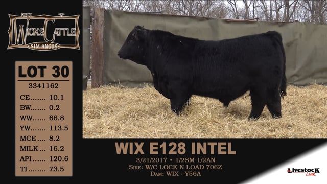 Lot #30 - WIX E128 INTEL