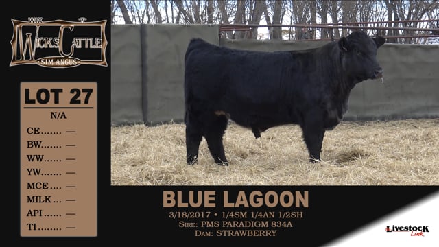 Lot #27 - BLUE LAGOON