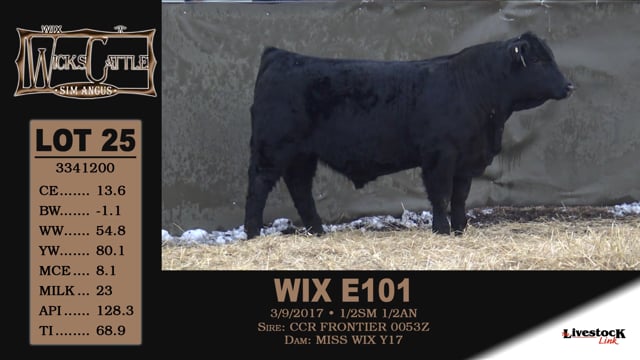 Lot #25 - WIX E101