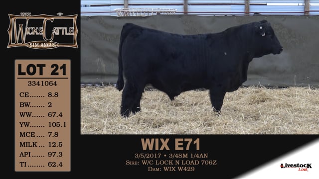 Lot #21 - WIX E71