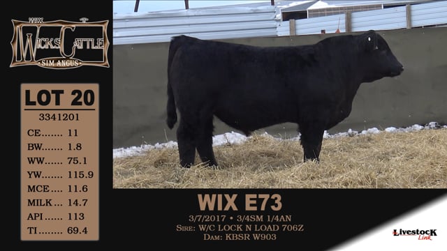 Lot #20 - WIX E73