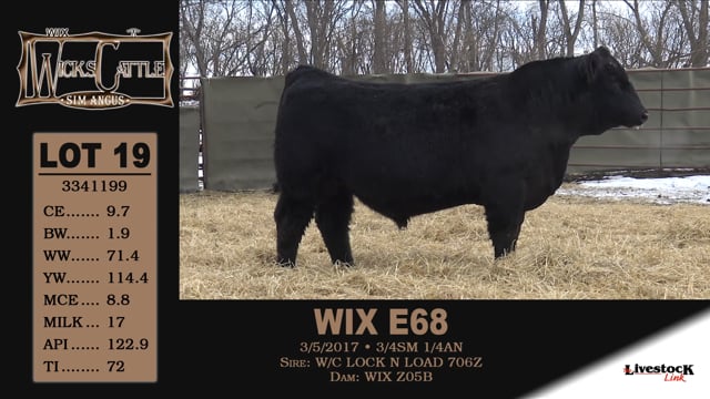 Lot #19 - WIX E68