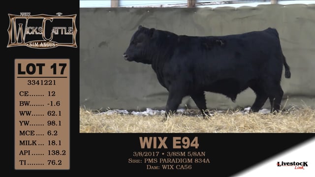 Lot #17 - WIX E94