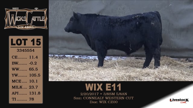 Lot #15 - WIX E11