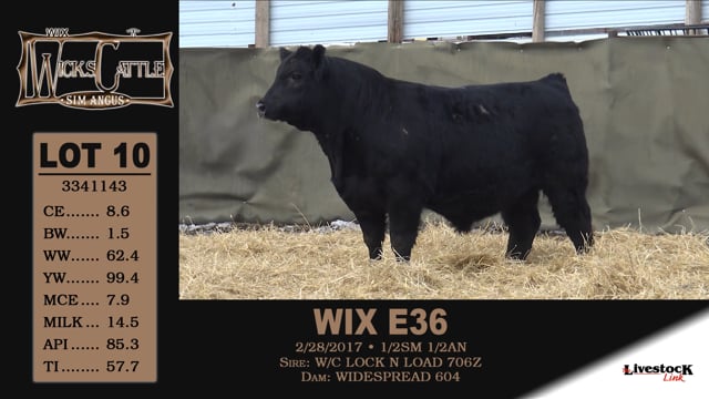 Lot #10 - WIX E36