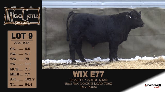 Lot #9 - WIX E77
