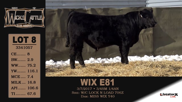 Lot #8 - WIX E81