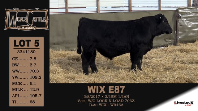 Lot #5 - WIX E87