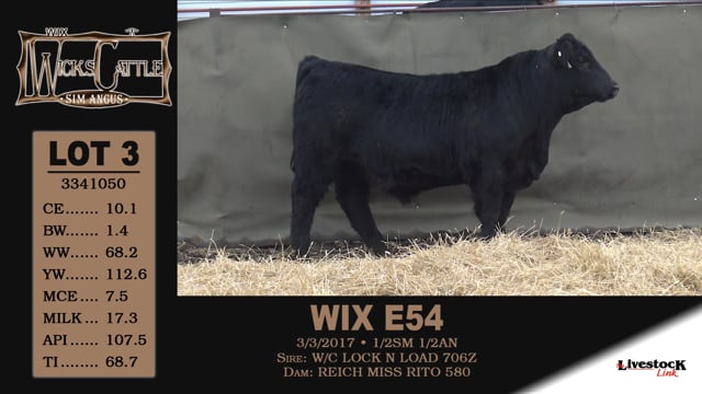 Lot #3 - WIX E54
