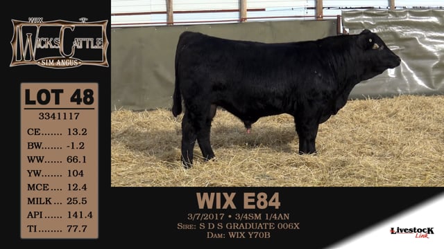 Lot #48 - WIX E84
