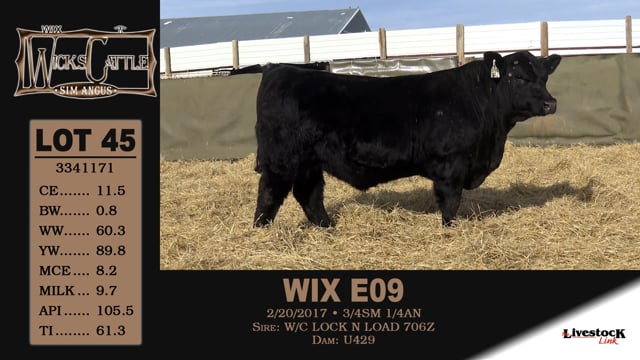 Lot #45 - WIX E09