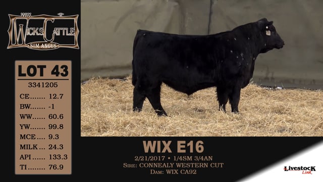 Lot #43 - WIX E16