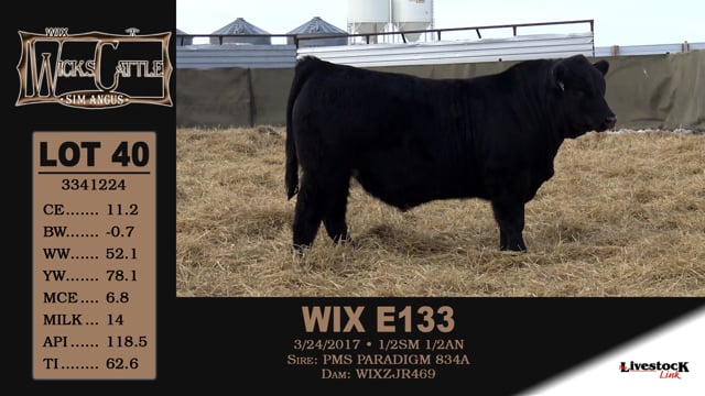 Lot #40 - WIX E133