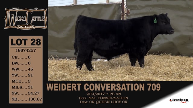 Lot #28 - WEIDERT CONVERSATION 709